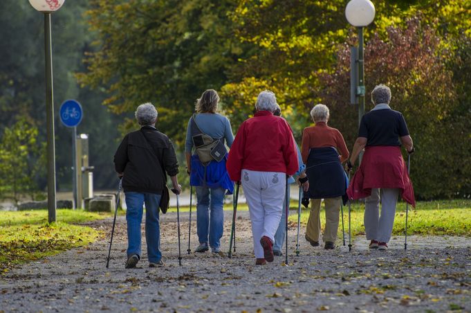 Sechs Personen beim Nordic Walking auf Parkweg von hinten